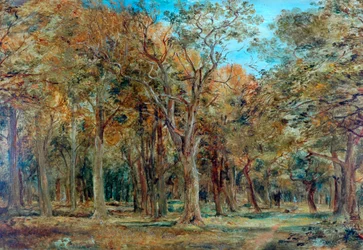 シャーウッドフォレスト